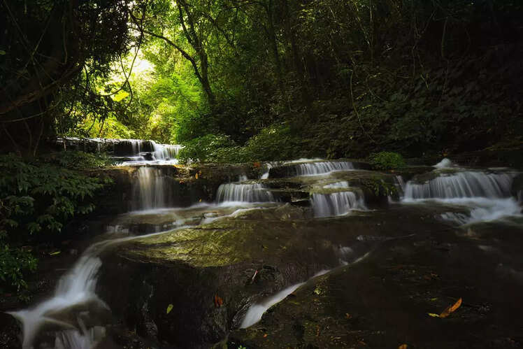 Dailong Biodiversity Heritage Site, Tamenglong