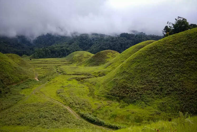 Buning, Tamenglong