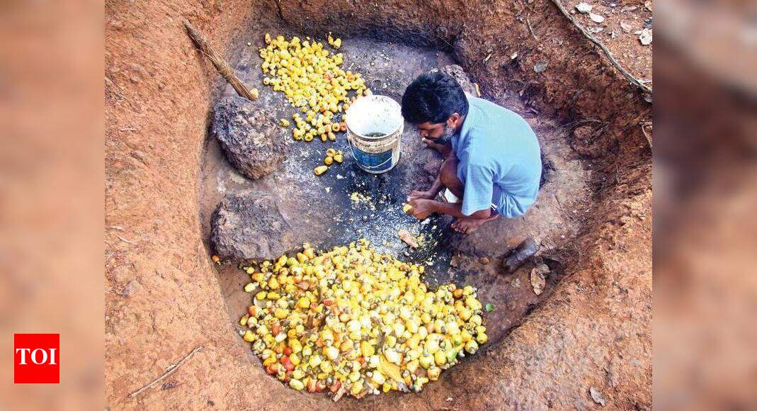 Govt struggles to break into new markets with feni | Goa News - Times ...