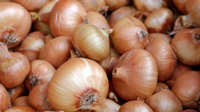 30% drop in average wholesale onion price at Nashik's Lasalgaon APMC