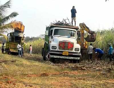 Goa: Sugarcane harvester whirs in sweet comeback after 10-year hibernation