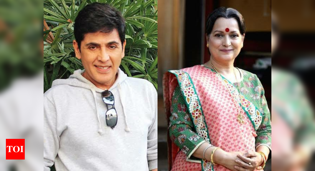 From Aasif Sheikh to Himani Shivpuri: TV celebs share how they spent ...