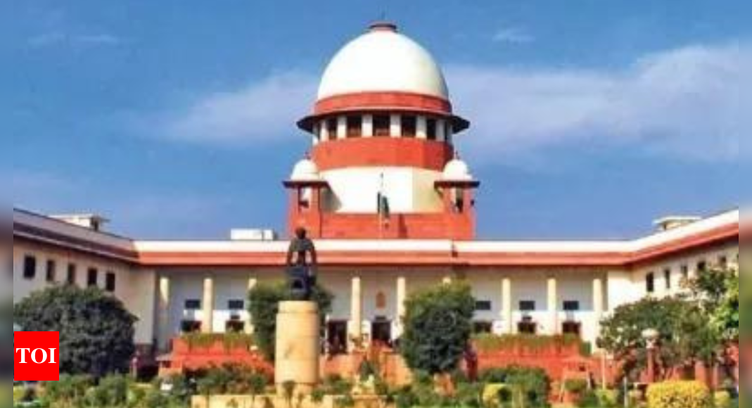 SC seeks Centre’s reply on possibility of mutual agreements with USA in custody matters | India News – Times of India