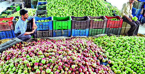 Union budget disappoints apple growers in Himachal