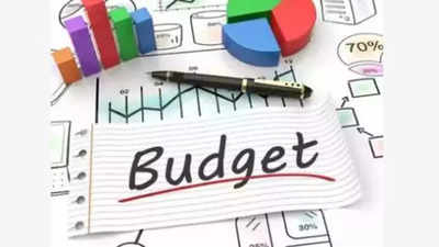 State meted out 'raw deal' in Union Budget: Telangana Congress