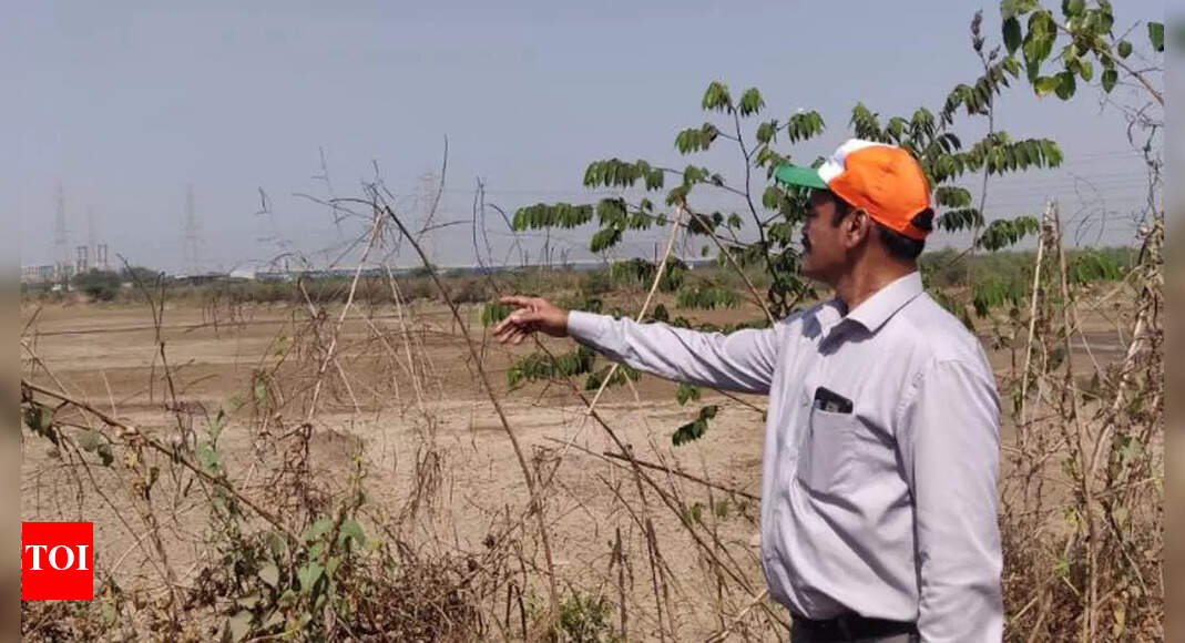 बजट की ‘मिष्टी’: नवी मुंबई हरित समूहों ने सावधानी से मैंग्रोव, आर्द्रभूमि के लिए केंद्र सरकार के नए प्यार का स्वागत किया |  नवी मुंबई समाचार – टाइम्स ऑफ इंडिया