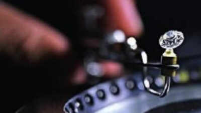 Union Budget: ‘Lab’ diamonds our new friends