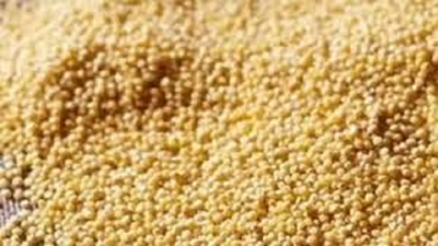 Centre’s push to boost Tamil Nadu’s millet policy