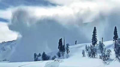 Saw the dance of death before our eyes, says J&K's Gulmarg avalanche witness