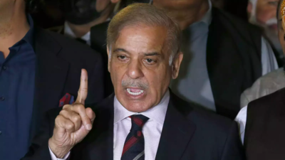Trouble mounts for Shehbaz Sharif: IMF rejects Pakistan's debt management plan