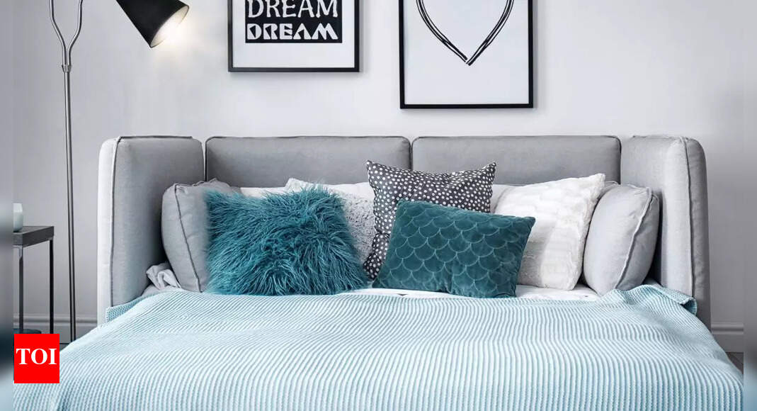 Best Sofa Beds for a stylish living room Times of India (November, 2024)
