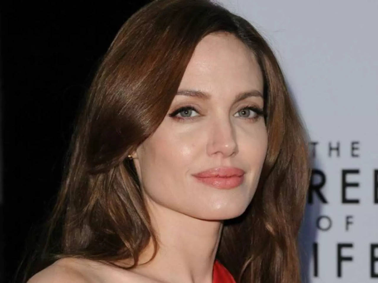 The Stunning Transformation Of Angelina Jolie