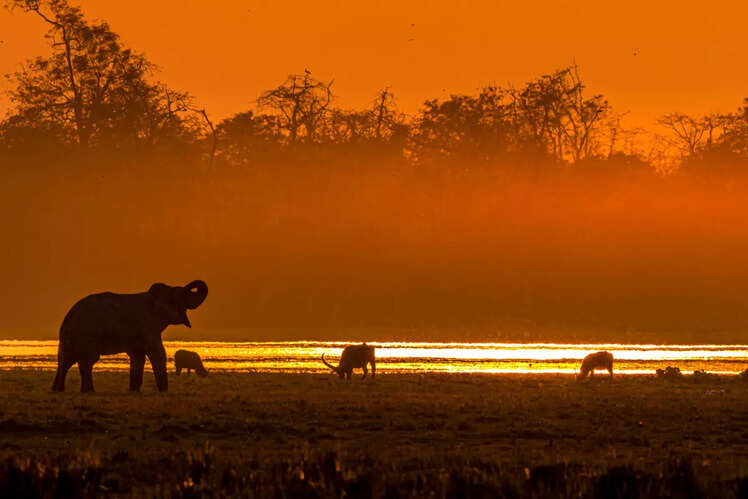 Rajaji National Park