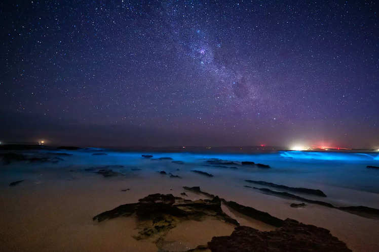 Coolest night beaches in India that glow in the dark! | Times of India ...