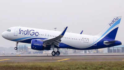 IndiGo lands Delhi-Patna flyer in Udaipur