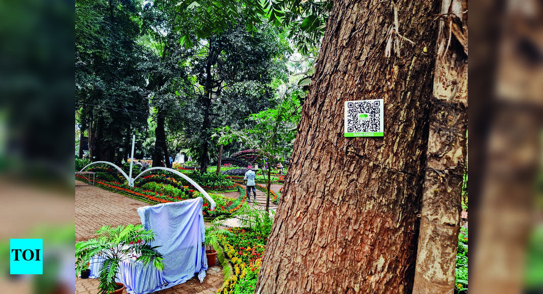 Digital: Digital Push Backfires As Qr Codes Too High On Trees In ...