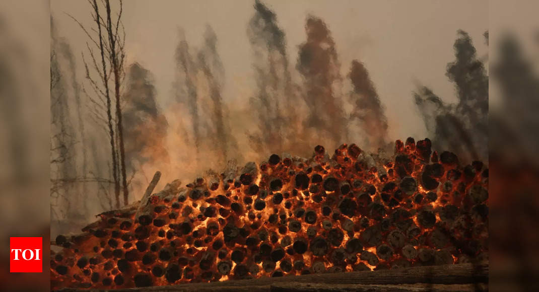 Les pompiers combattent des dizaines d’incendies de forêt au Chili, 22 morts