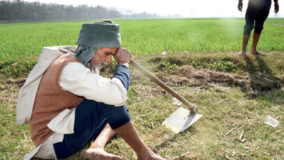 Why farmers in these villages are staying up all night