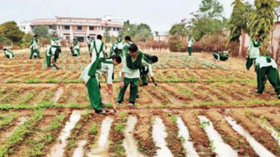 4,960 kitchen gardens to come up in government schools across Jharkhand