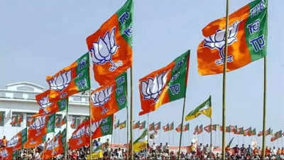 BJP neta held for attack on CPM rally in Tripura