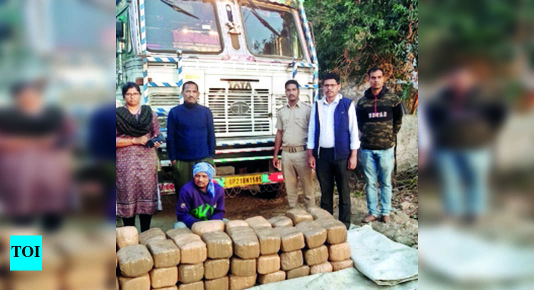 240kg Ganja Seized From Truck In Ganjam | Bhubaneswar News - Times of India