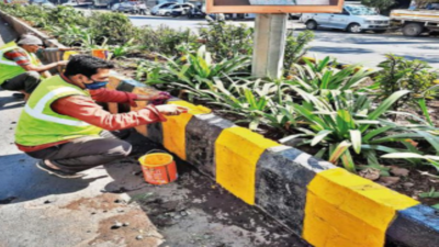 Saplings to be planted in concrete pots along Nashik roads