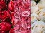 What's the meaning behind the color of your Valentine's Day rose?