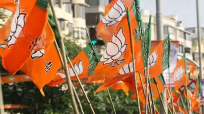 UP BJP starts reorganising booth-level committees ahead of 2024 Lok Sabha elections