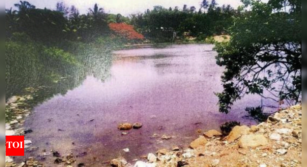 Lokayukta directs BMC to remove debris filled in Mumbai's Malad pond in