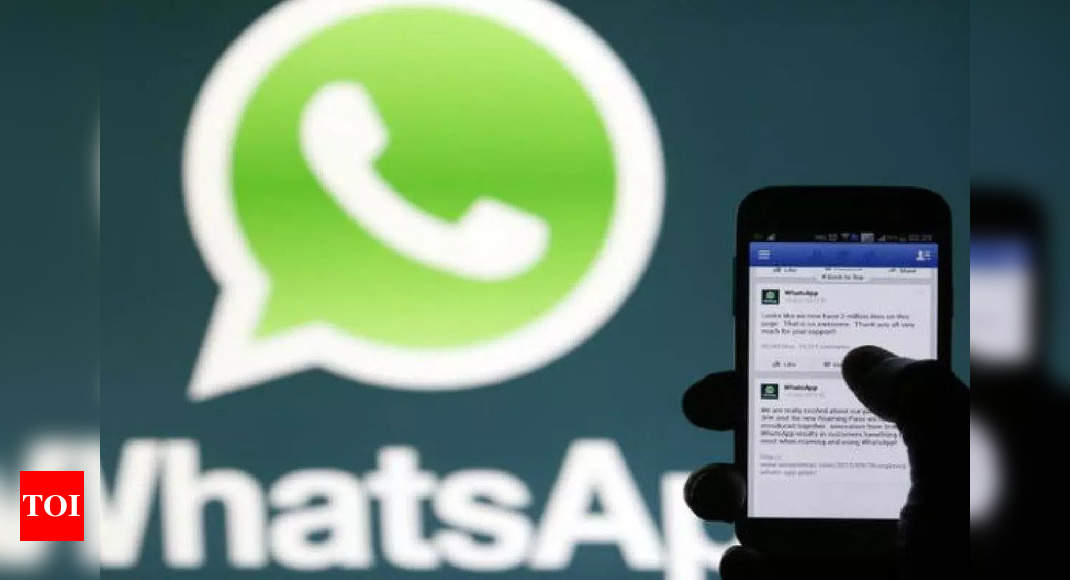 Safer Internet Day: How to spot scams on WhatsApp, report contact – Times of India