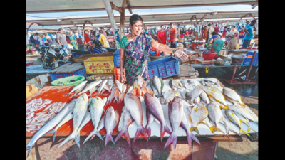 Kasimedu harbour could get 2,800 tonnes of tuna this season in Chennai