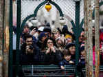 Annual Venice carnival, in Venice