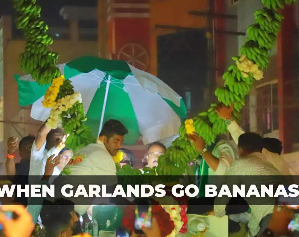 
Floral garlands are passe; In Karnataka’s Yatra politics, garlands get bigger, louder and 'flavoured'
