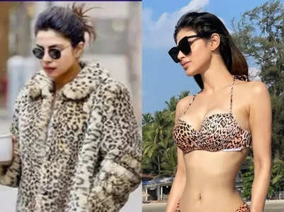 Celebs who prove 'animal print is in'