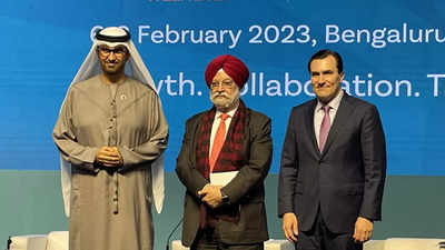 India central to global energy transition: COP28 head