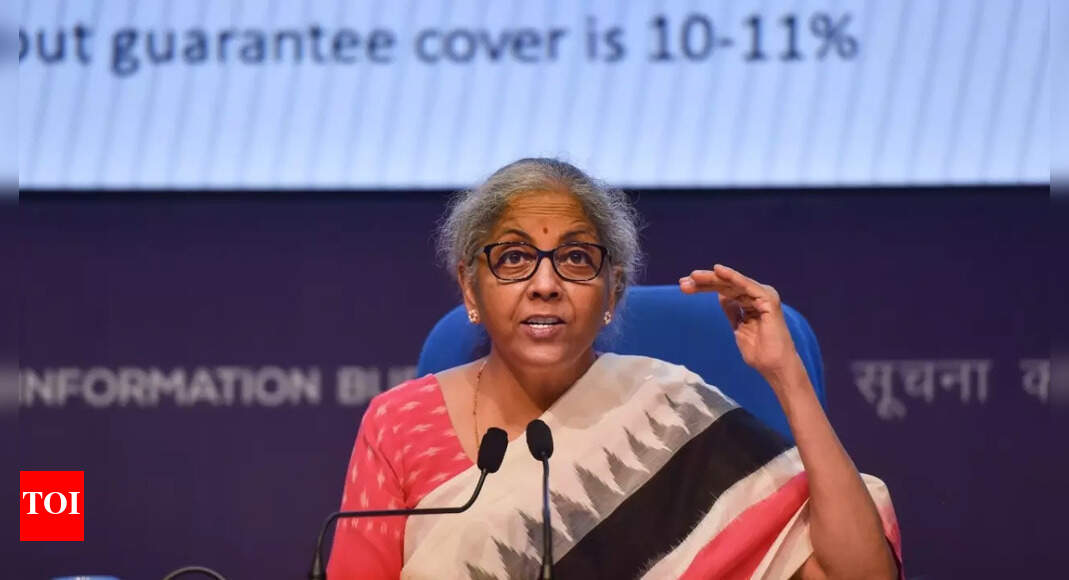 Develop products to cross green barrier: FM tells industry – Times of India