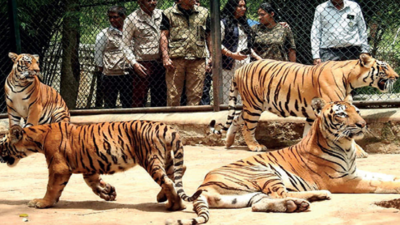 Bengaluru's Bannerghatta Biological Park closed tomorrow