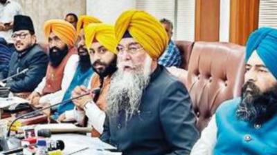 Let courts carry out legal work in Punjabi: Activists, scholars