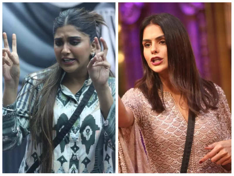 Nimrit Kaur Ahluwalia is certain that she and Priyanka Choudhary can’t be friends, says arrogance is something that puts her off