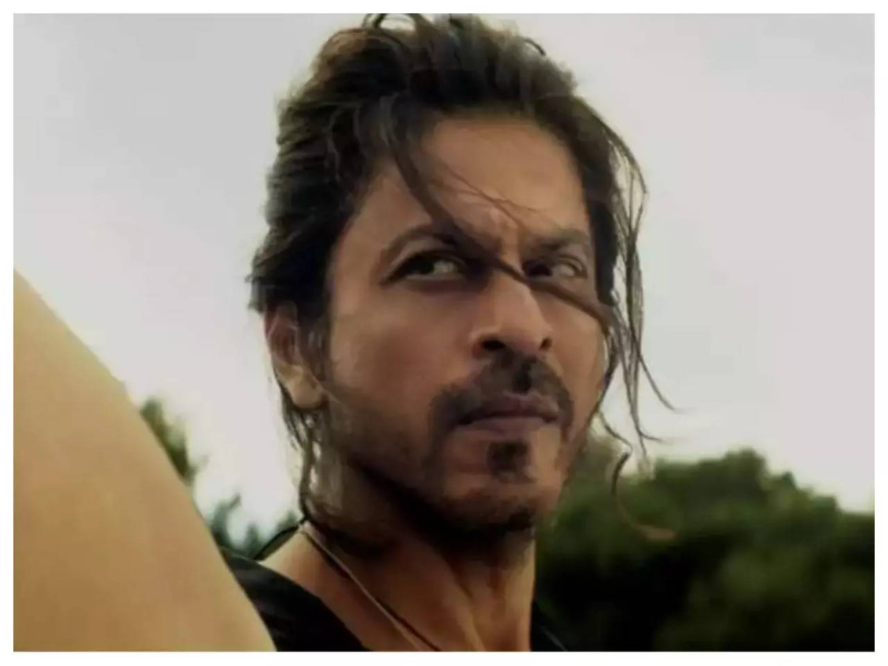 Pathaan' box office collection: Shah Rukh Khan starrer races ahead with  total business of Rs 425 crore | Hindi Movie News - Times of India