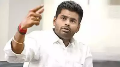 DMK members spread lies in Parliament: Annamalai