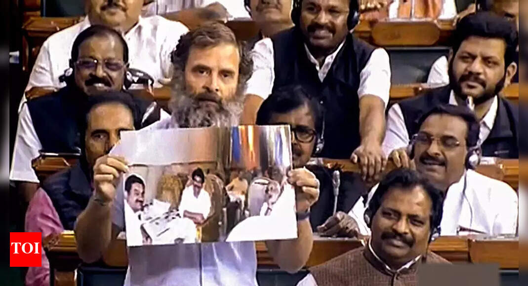 Some Of Rahul Gandhi S Remarks Expunged Congress Protests Death Of