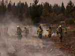 Wildfires in Chile