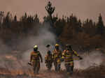 Wildfires in Chile