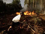 Chile wildfires