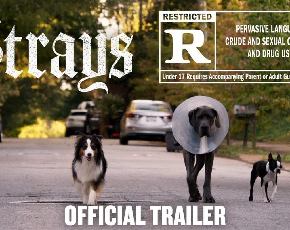 
Strays - Official Trailer
