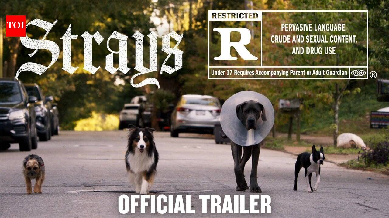 Strays - Official Trailer
