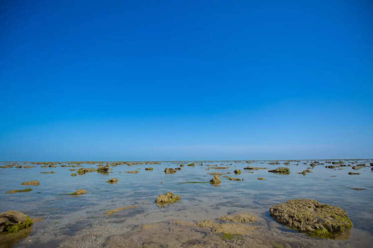 Marine National Park, Gujarat