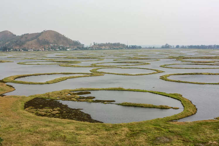Keibul Lamjao National Park, Manipur