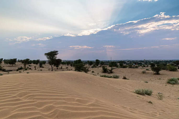 Desert National Park, Rajasthan
